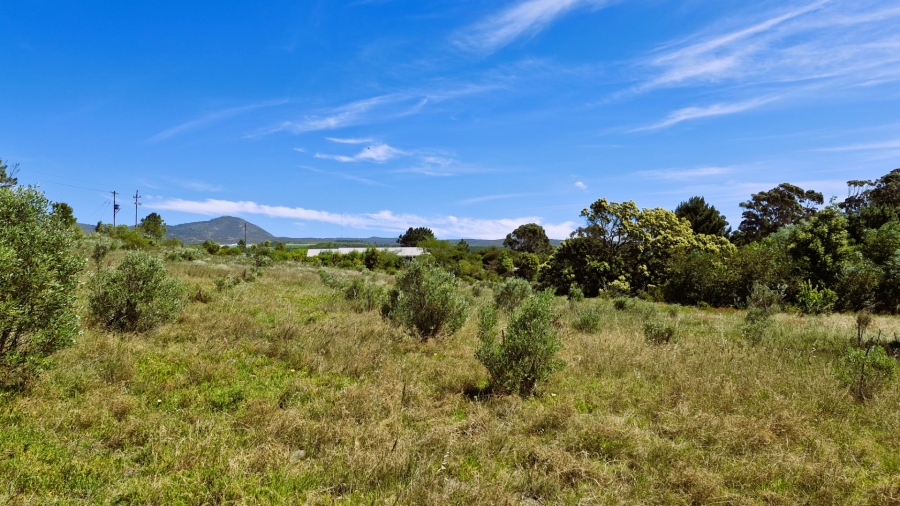 Commercial Property for Sale in Napier Western Cape